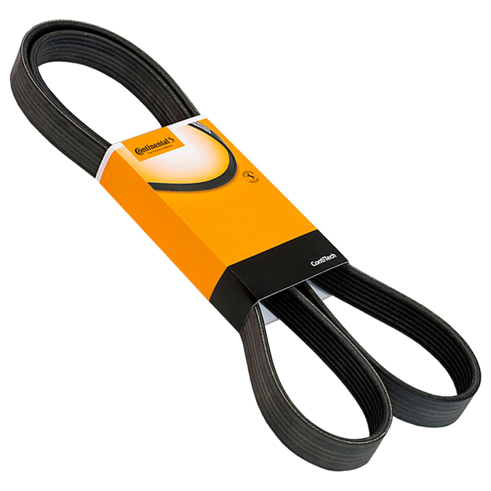 Correia Poly-V 6 PK