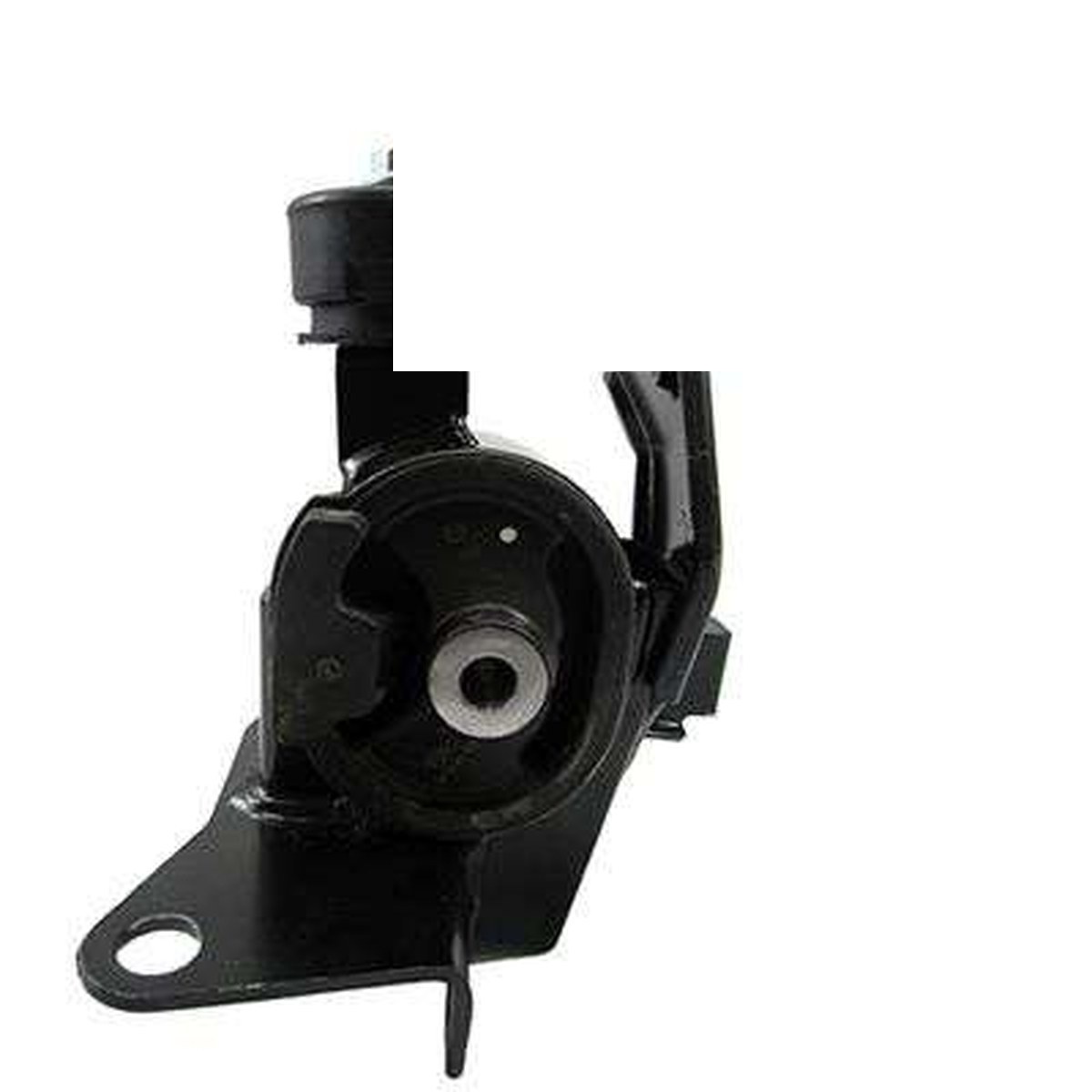 COXIM DO MOTOR ESQ.