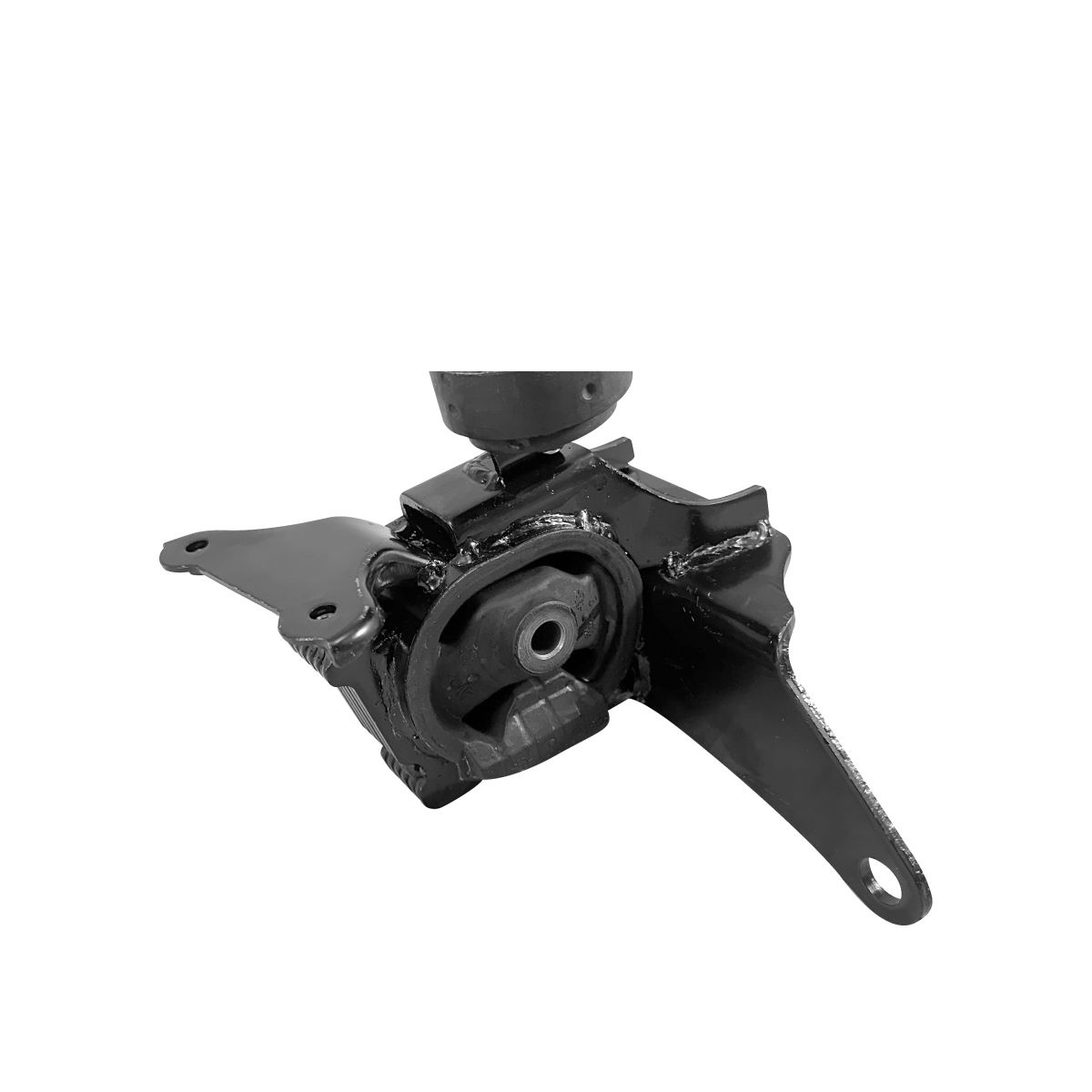COXIM DO MOTOR ESQ.