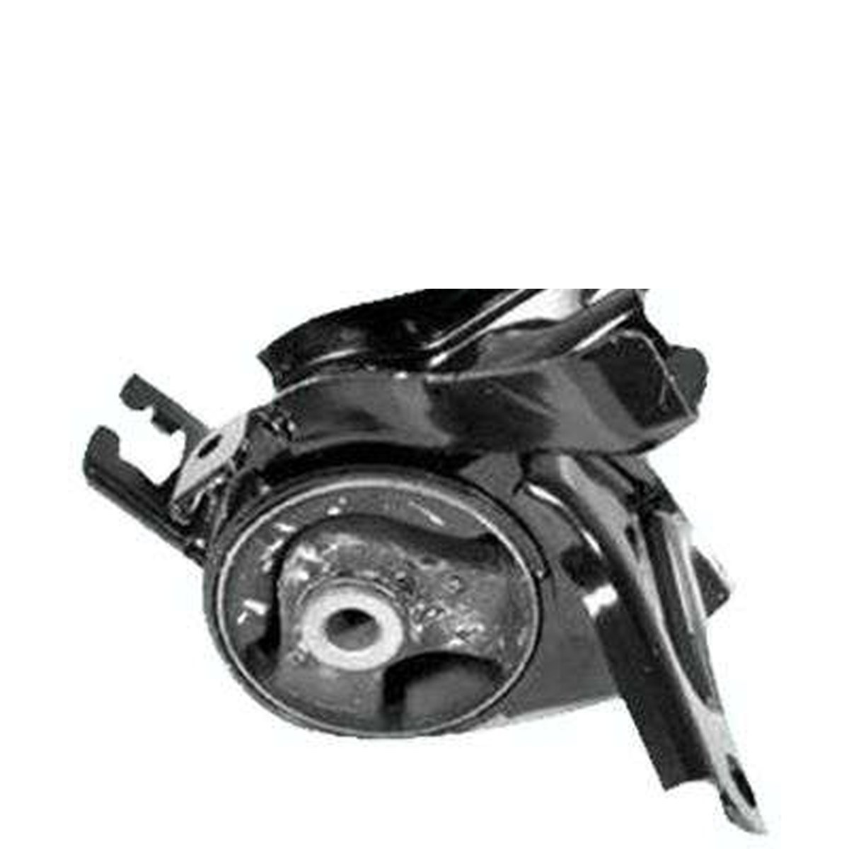 COXIM DO MOTOR ESQ.