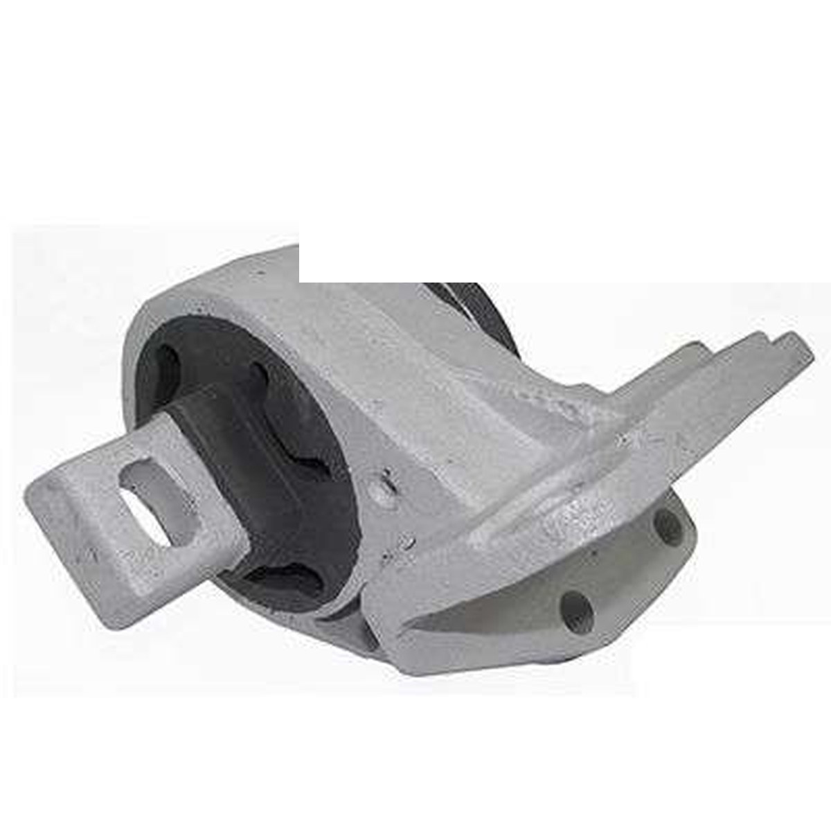 COXIM DO MOTOR ESQ.