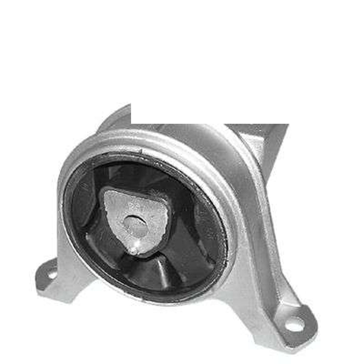 COXIM DO MOTOR DIR.