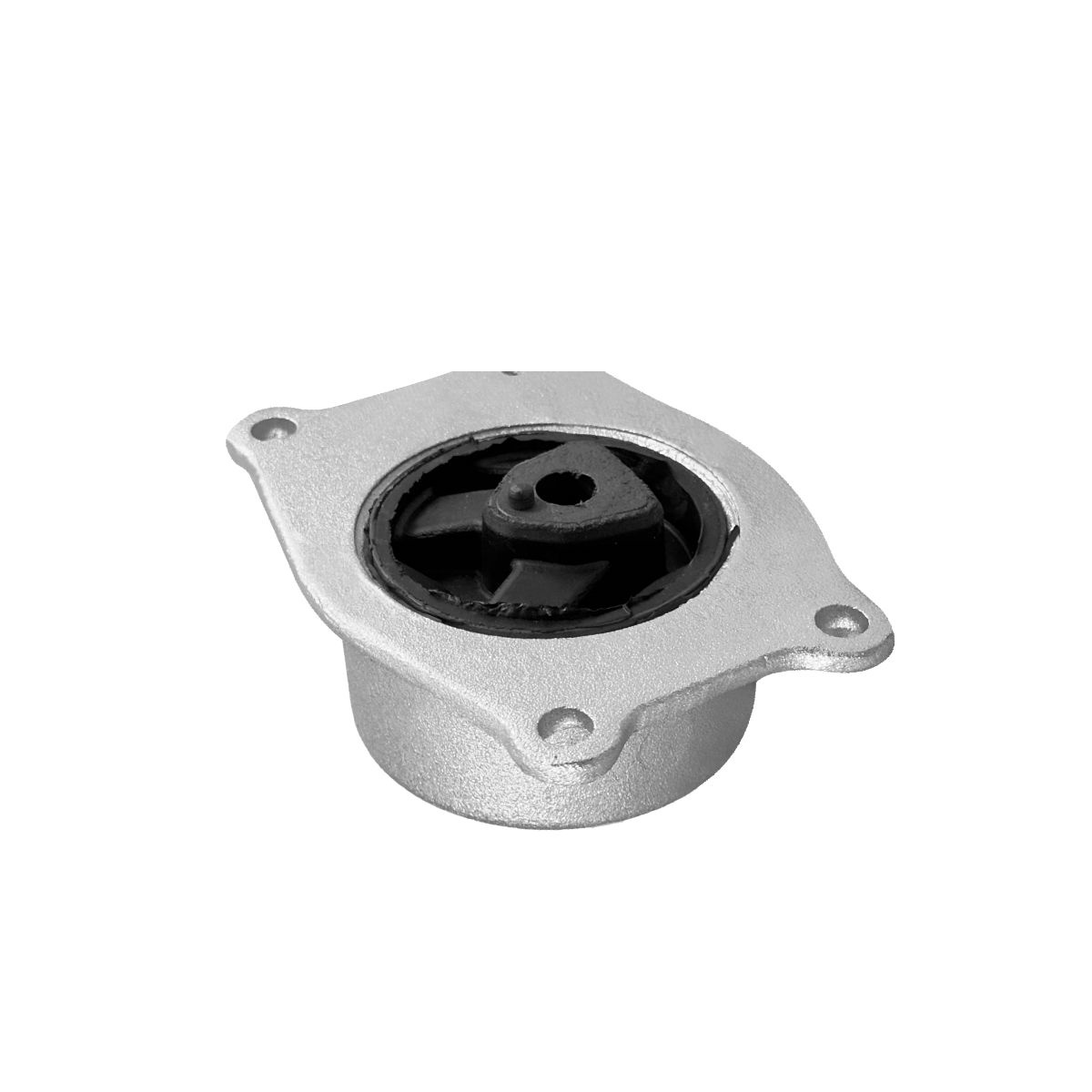 COXIM DO MOTOR ESQ.
