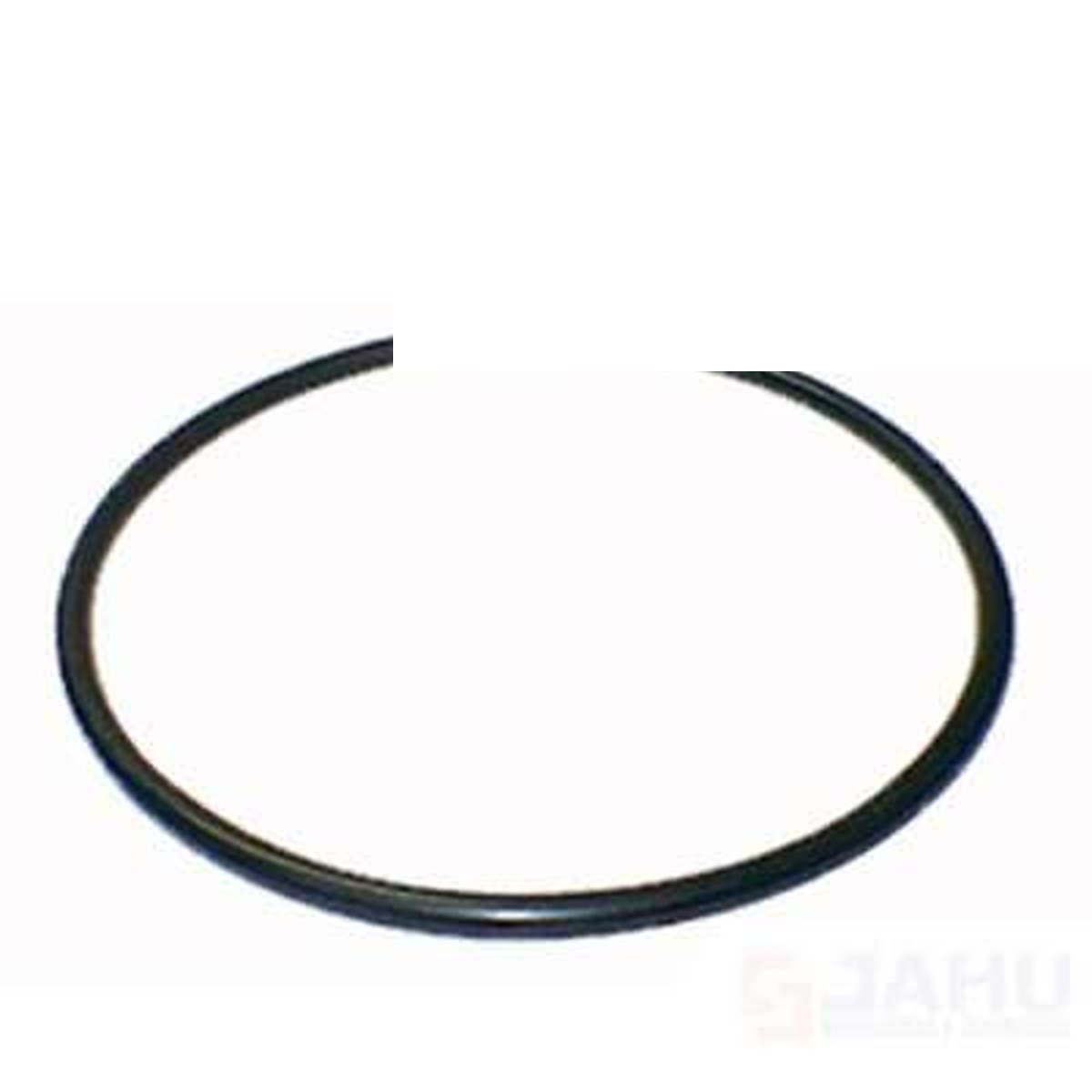 ANEL DE VEDAÇÃO DA FLANGE (7MM X 153MM) (BOMBA COMBUSTÍVEL)