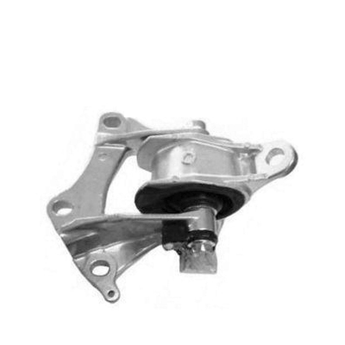 COXIM DO MOTOR ESQ.