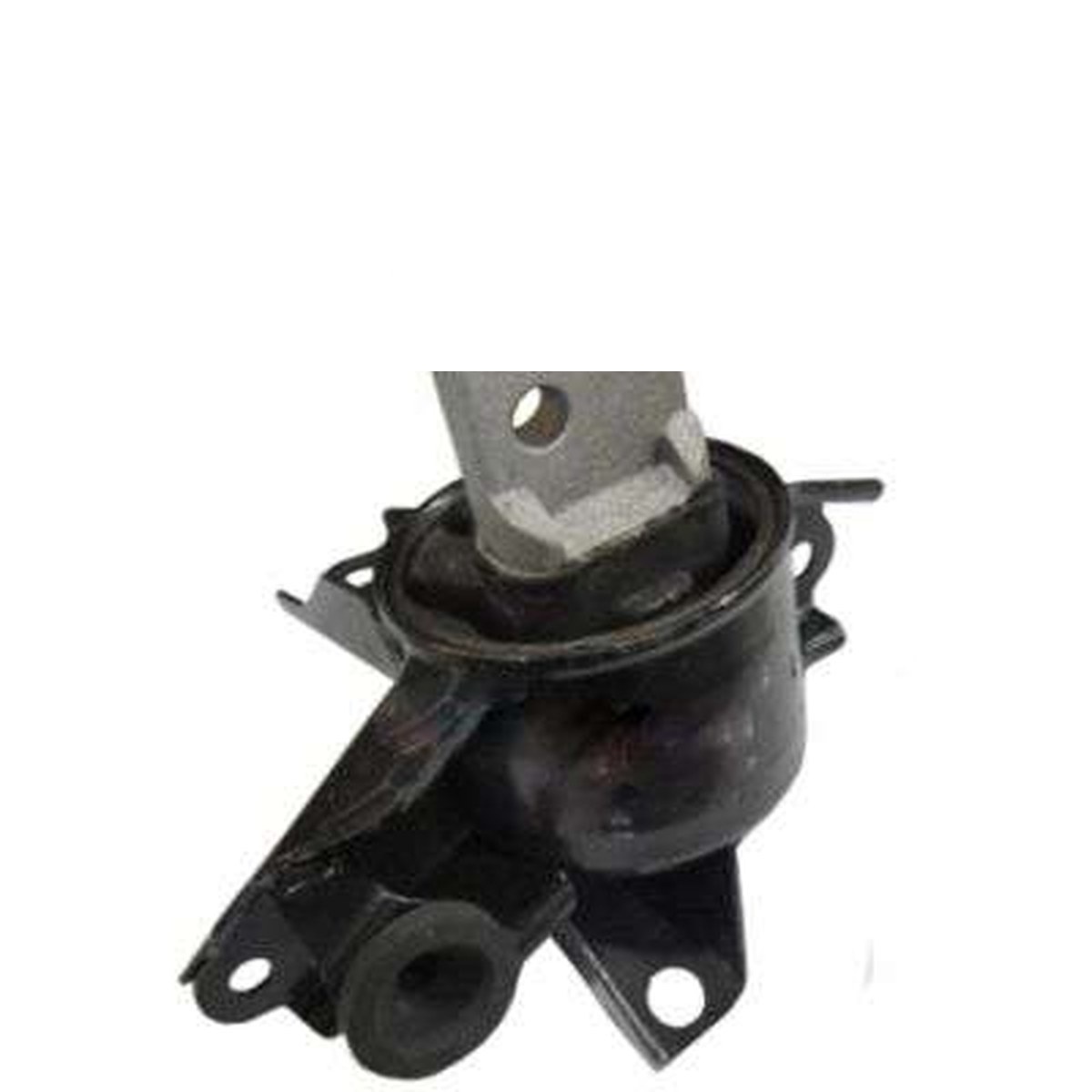 COXIM DO MOTOR ESQ.
