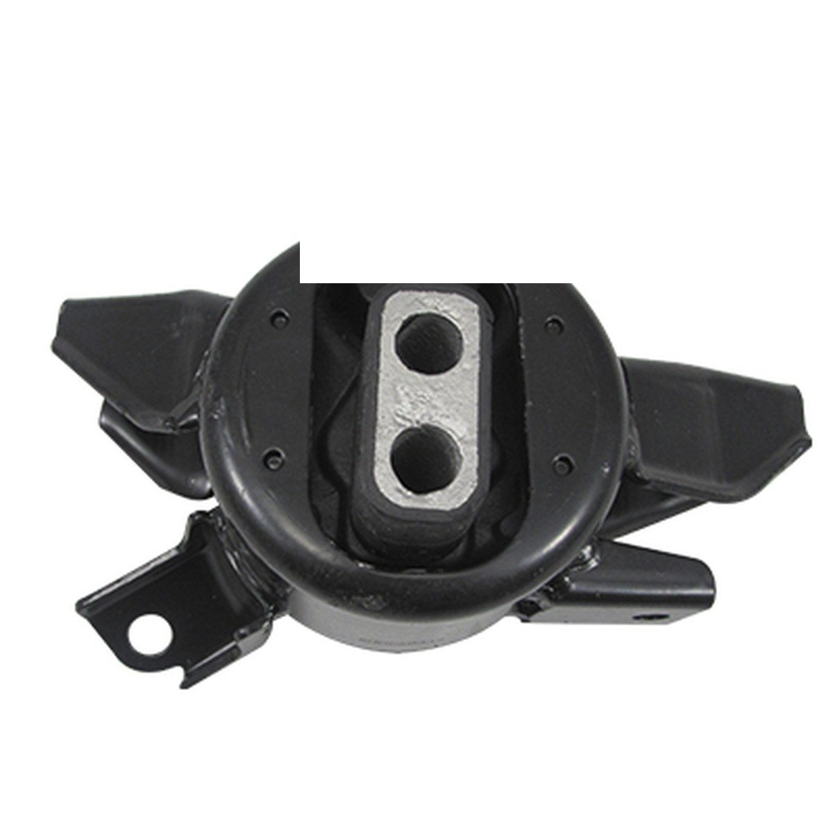 COXIM DO MOTOR ESQ.