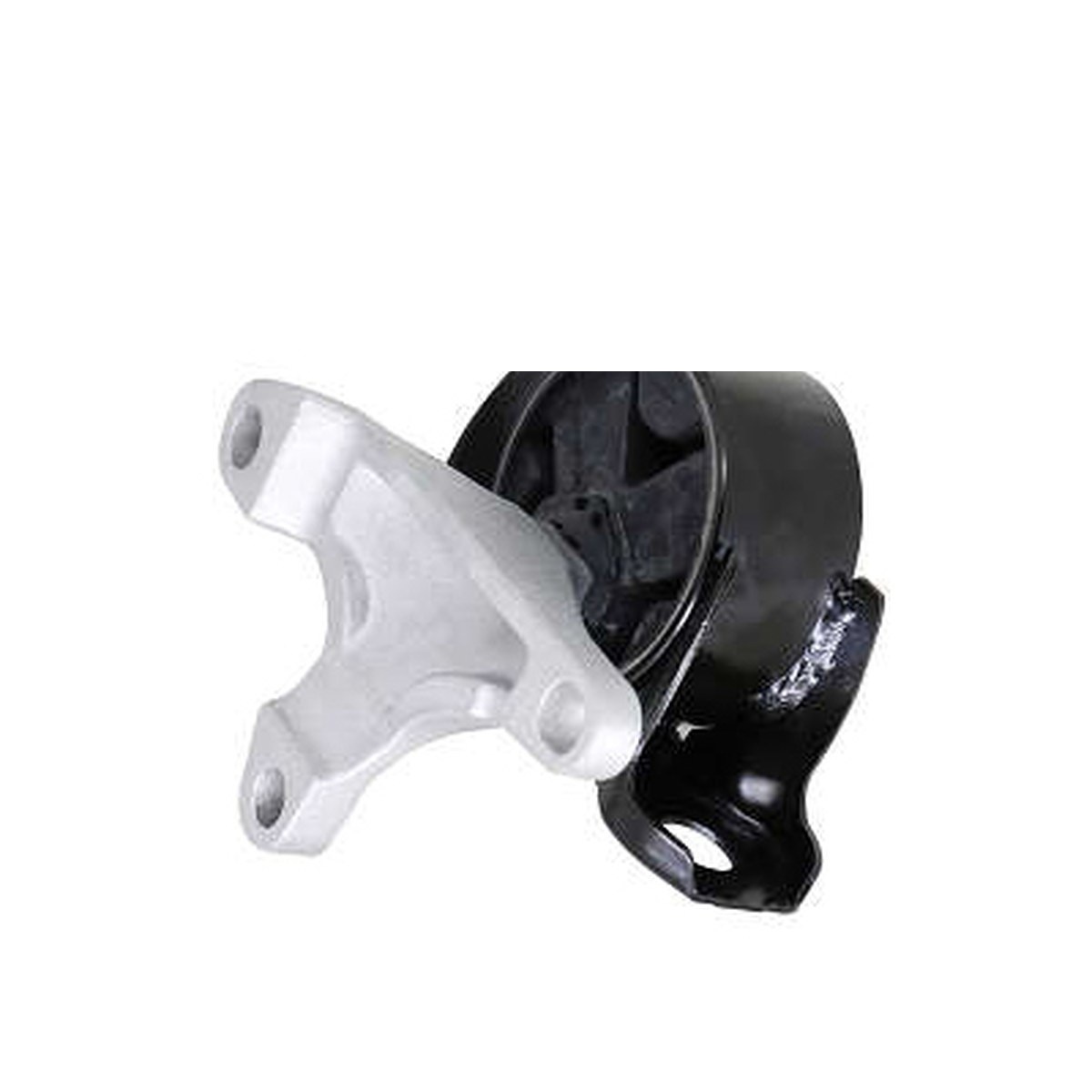 COXIM DO MOTOR ESQ.