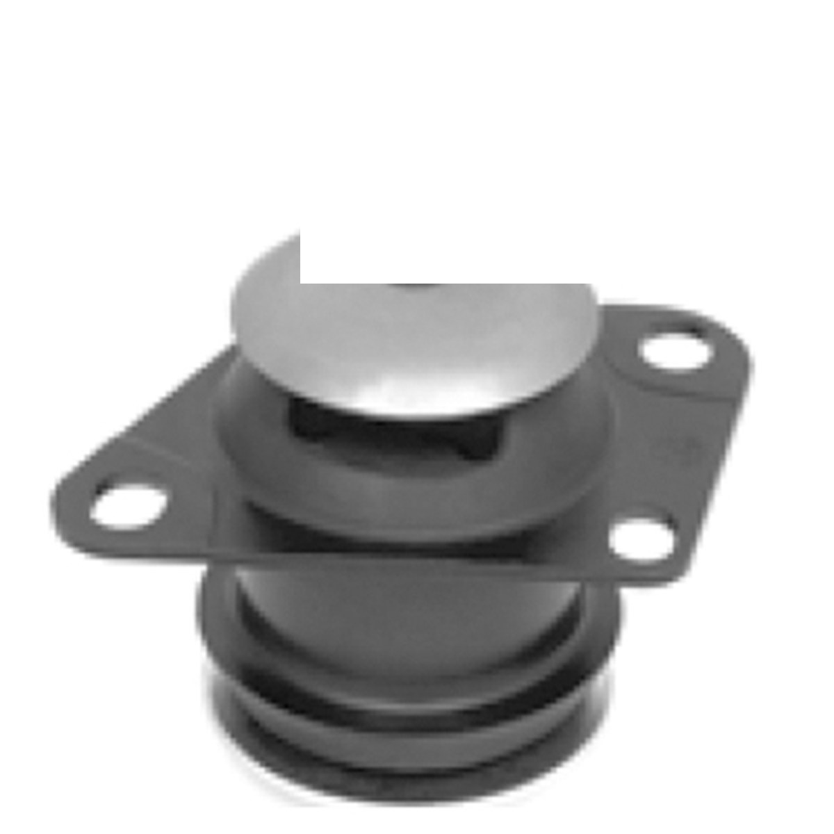 COXIM DO MOTOR ESQ.