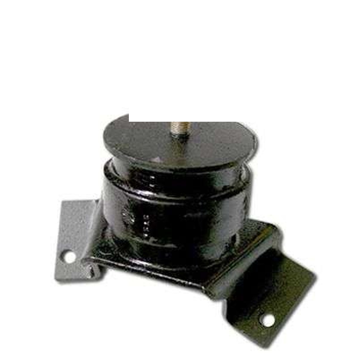 COXIM DO MOTOR ESQ.