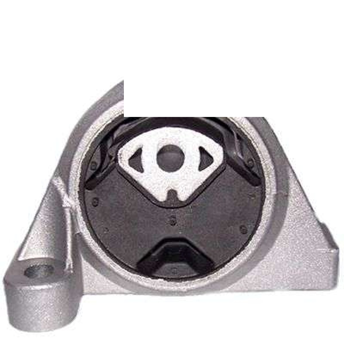 COXIM DO MOTOR ESQ.