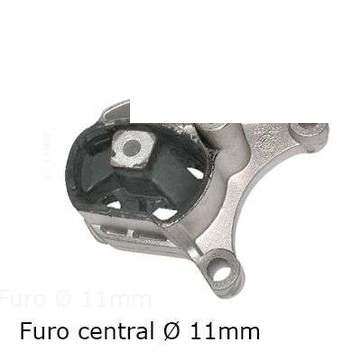 COXIM DO MOTOR TRAS. INF.
