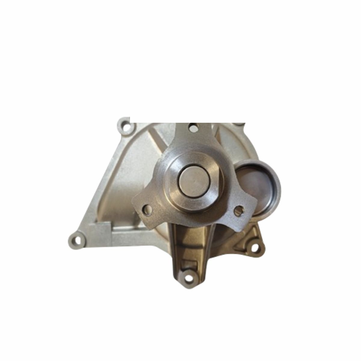 BOMBA D'ÁGUA (ROTOR 52MM)