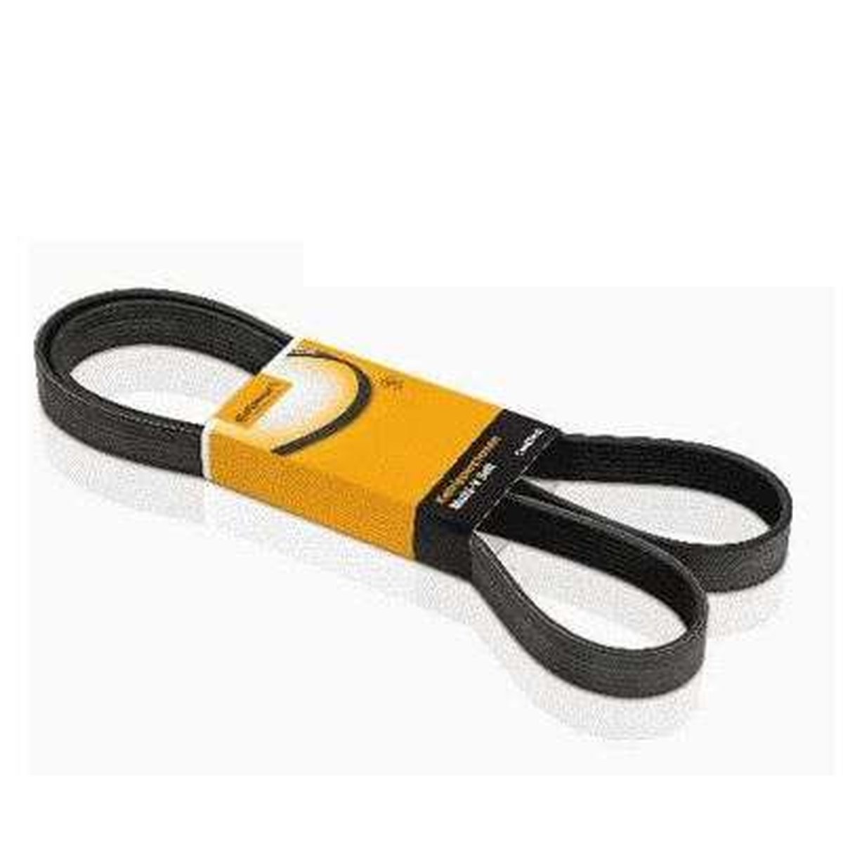 CORREIA POLY-V (BA/DH S/ACD)